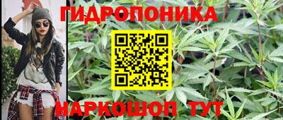 мяу мяу мука Жуковский