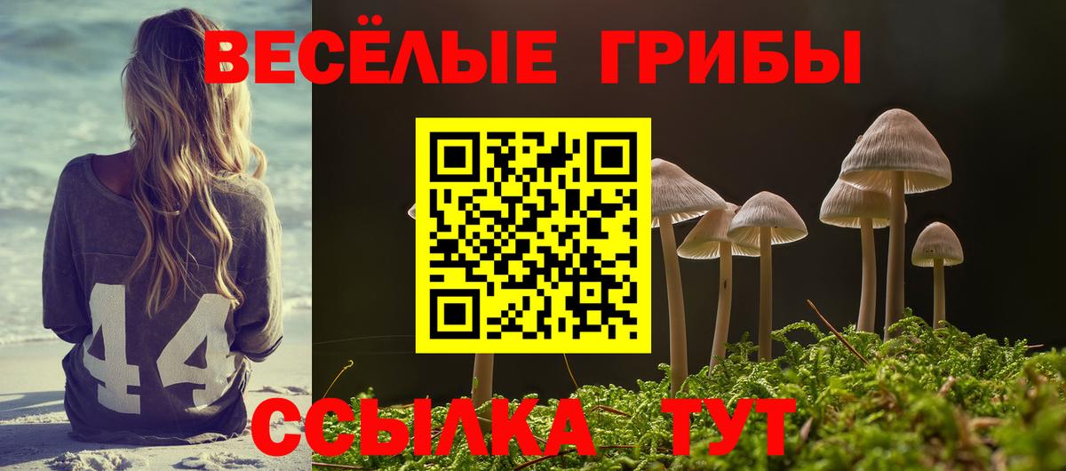 Псилоцибиновые грибы Psilocybe  Галлюциногенные грибы Psilocybe  купить наркоту  Вход с VPN  Майский 